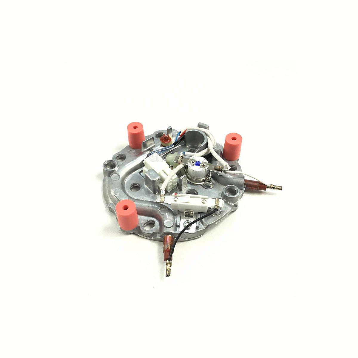 SEBCS-00134506