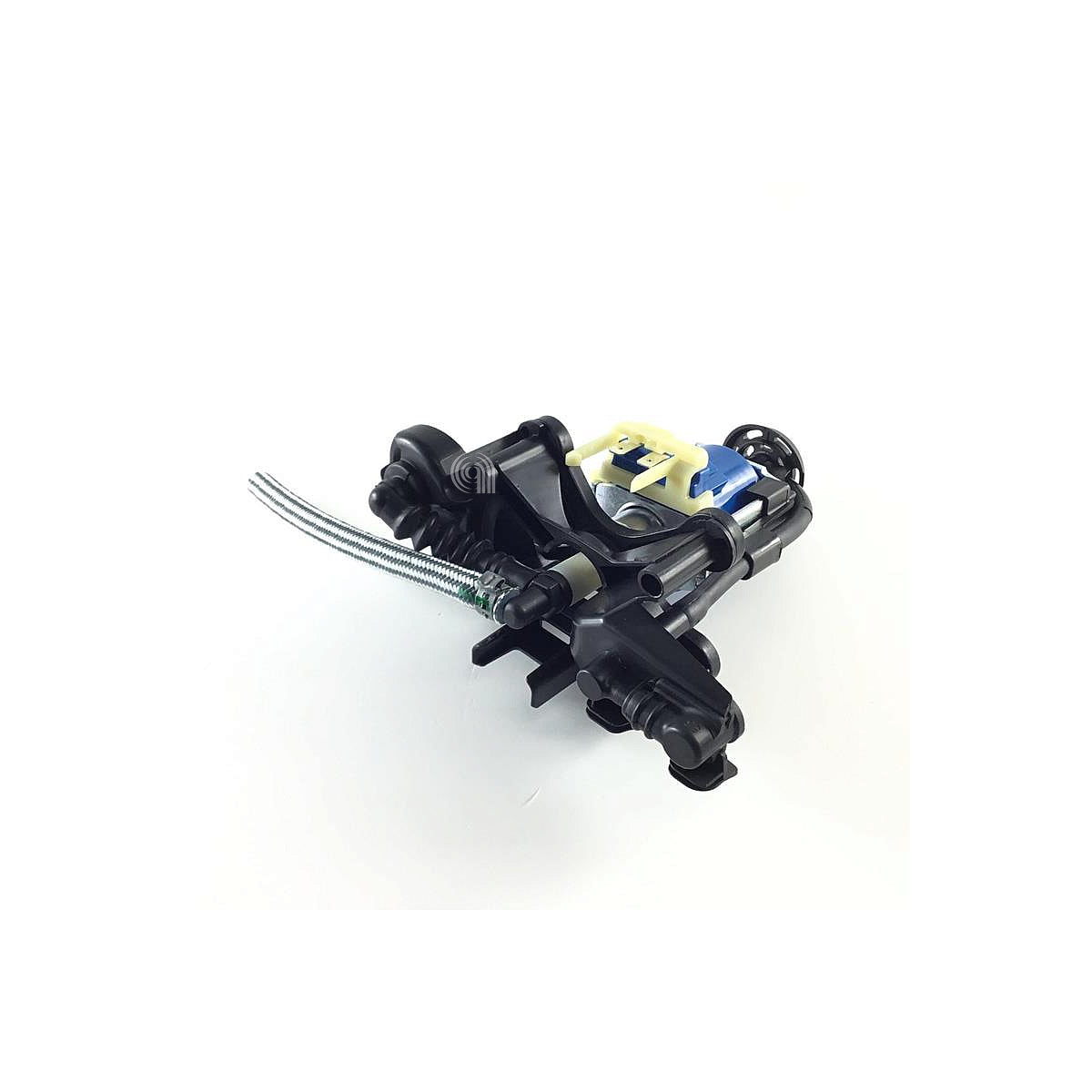 SEBCS-00137184