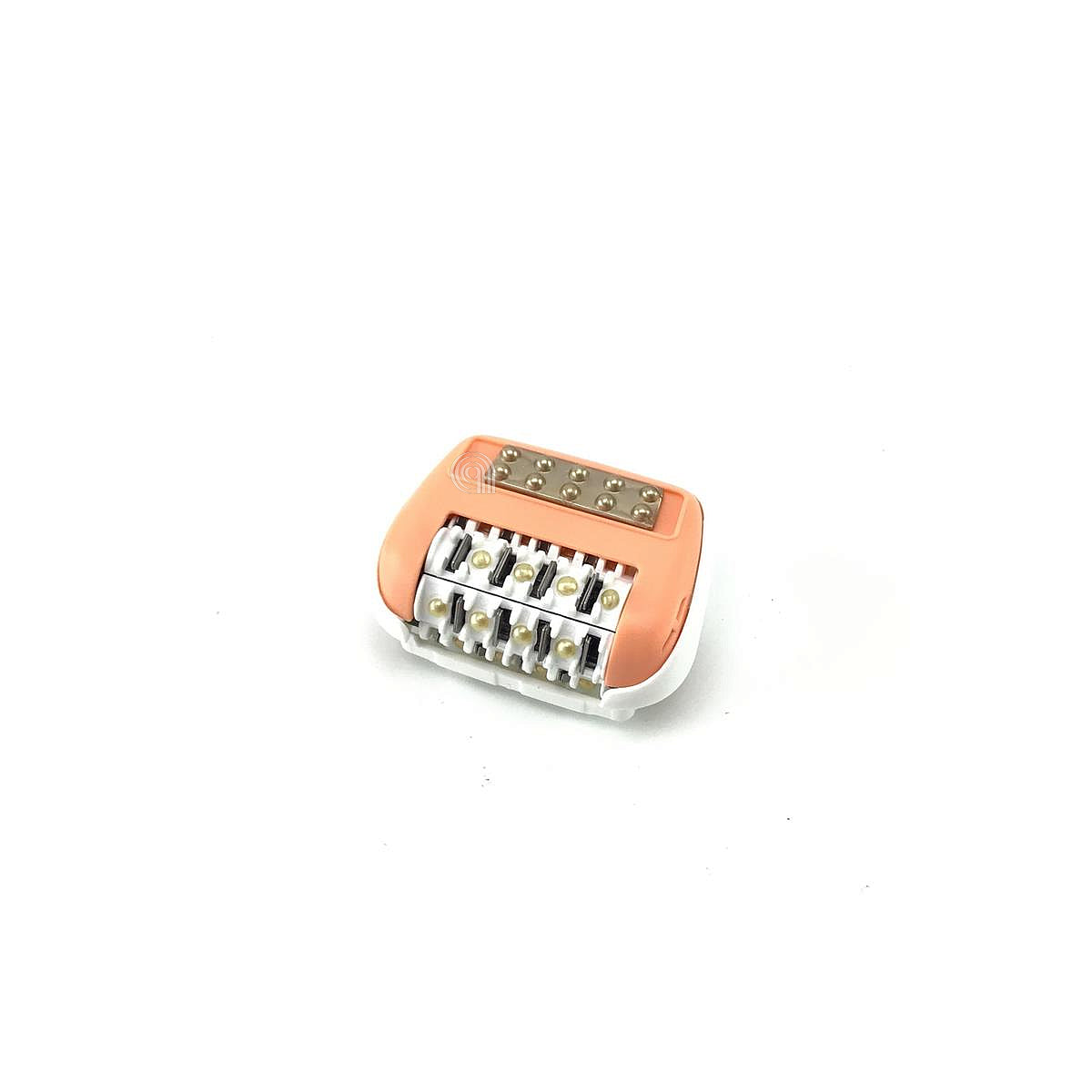SEBCS-00139046