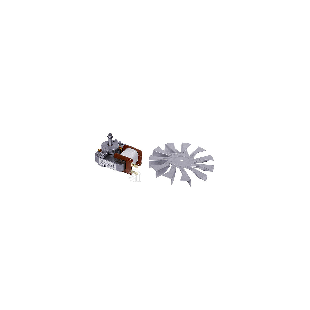 SMG699250019