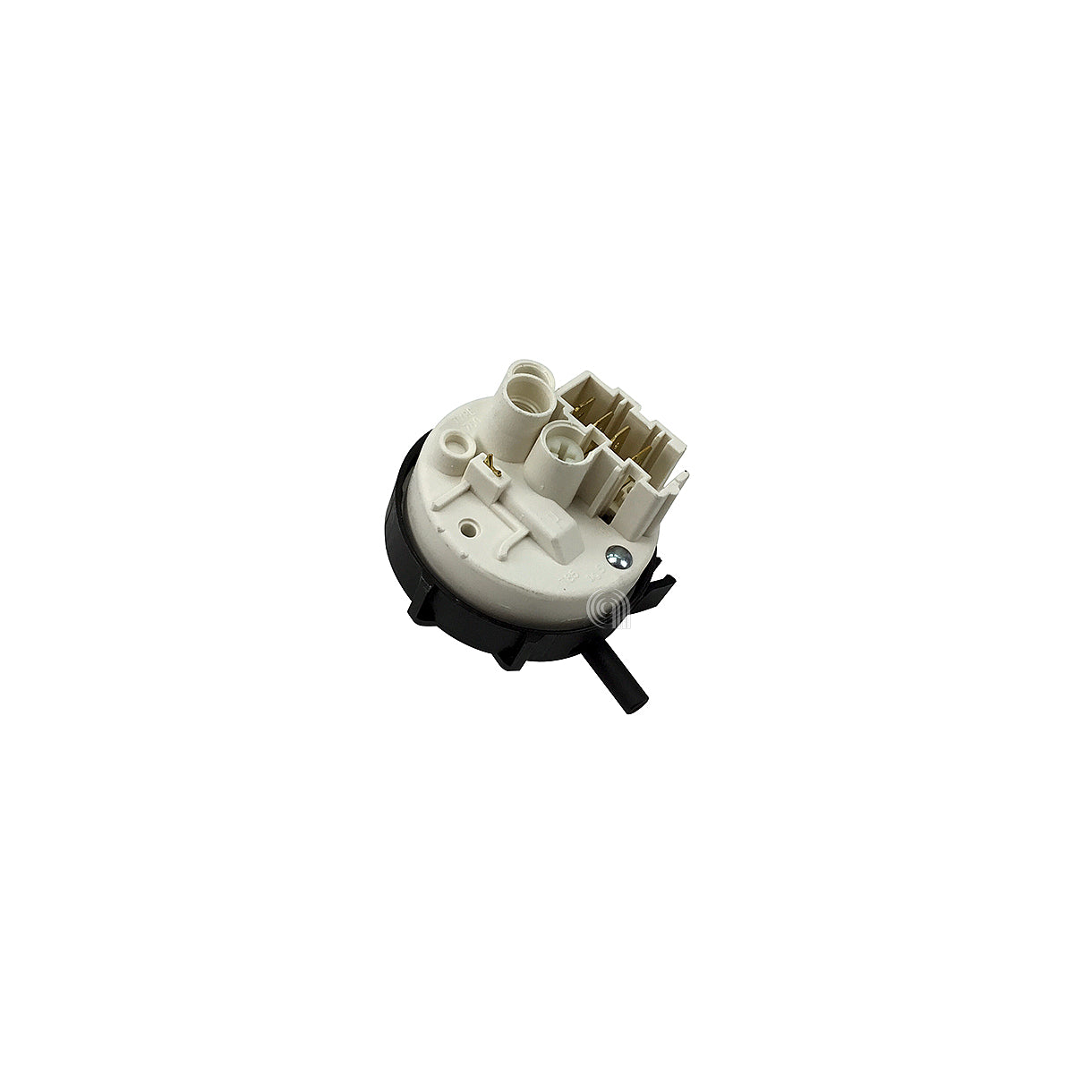 SMG816210391