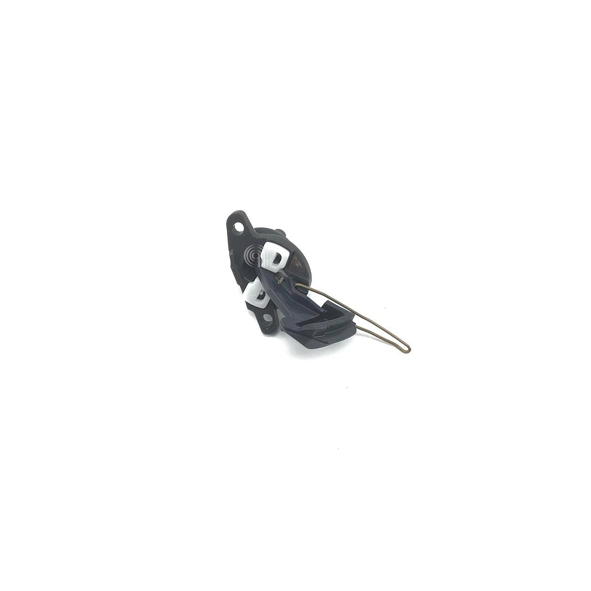 VKF31551